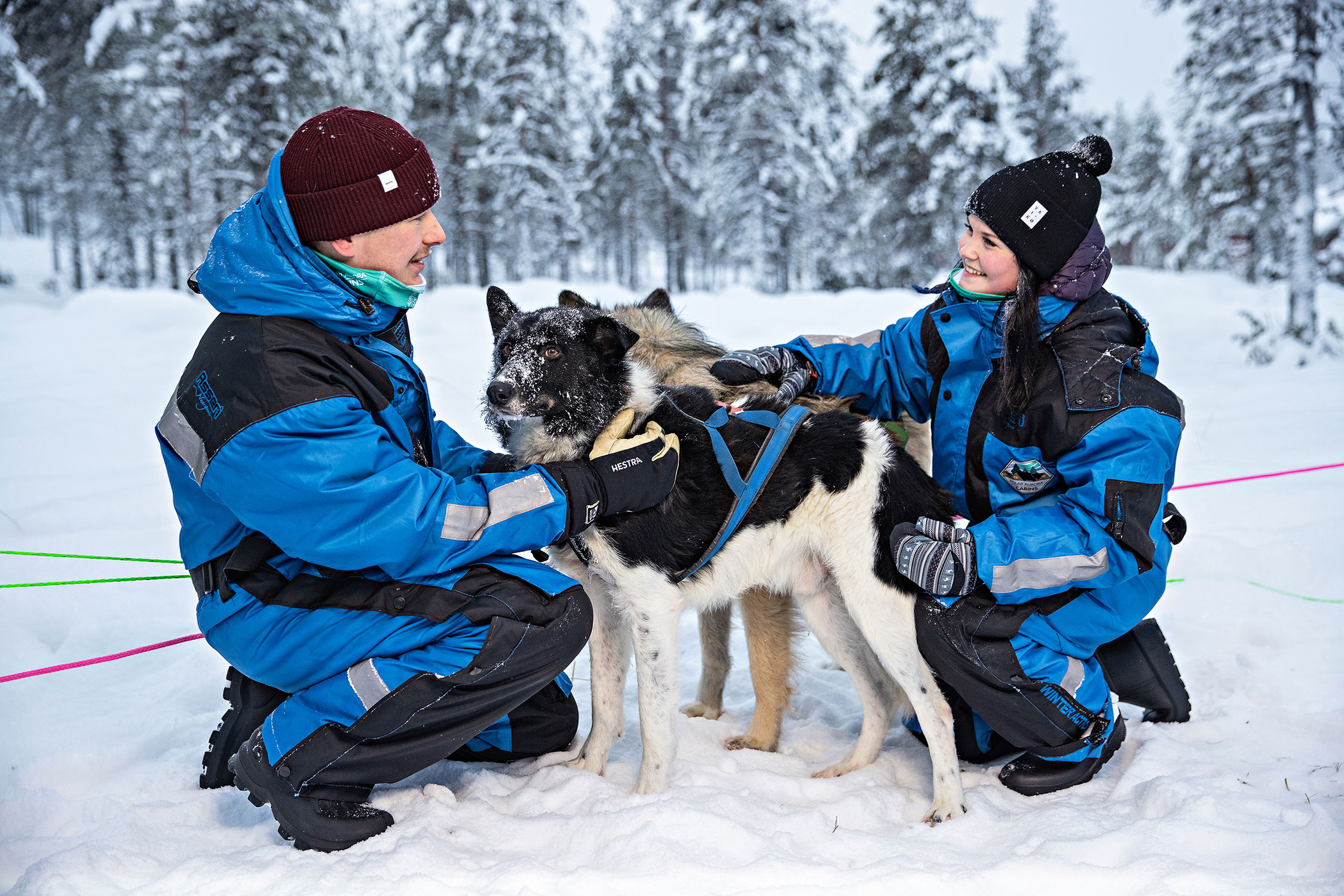 A husky safari is a great way to explore the arctic nature.